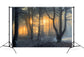 Winter Snowy Forest Dawn Sun Shadow Backdrop M9-60