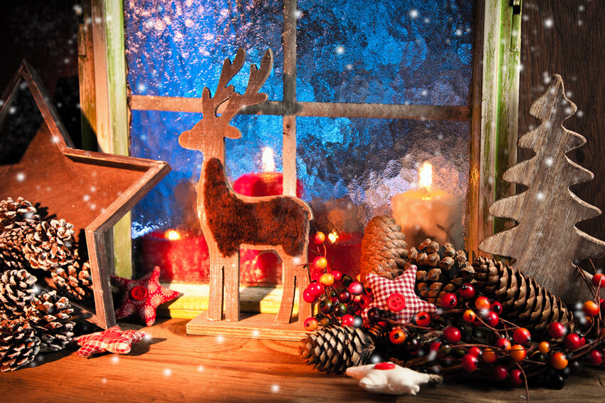 Christmas Beautiful Decoration Window Backdrop