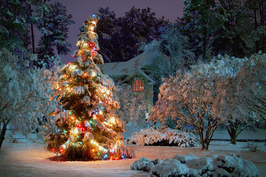 Christmas Sparkling Tree Snowy Forest Backdrop 