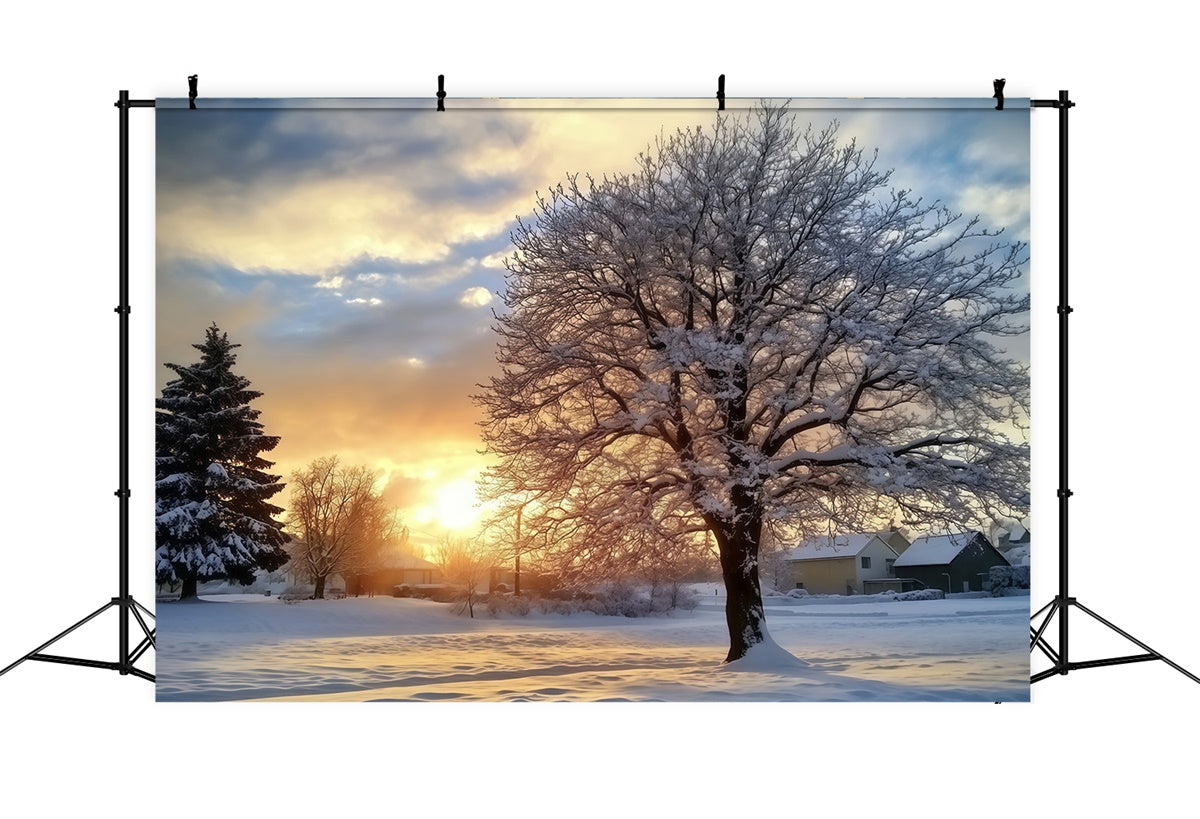 Backdrop Forest Winter Sunset Serenity Backdrop MRR7-107