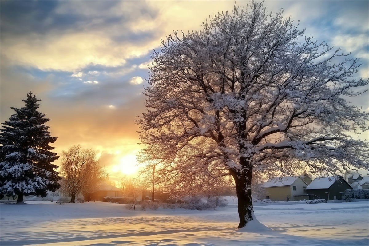 Backdrop Forest Winter Sunset Serenity Backdrop MRR7-107