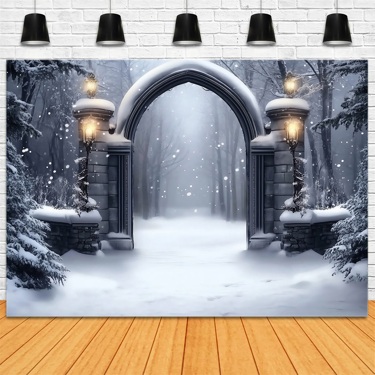Winter Snow Backdrop Gothic Snow Gate Backdrop MRR7-152