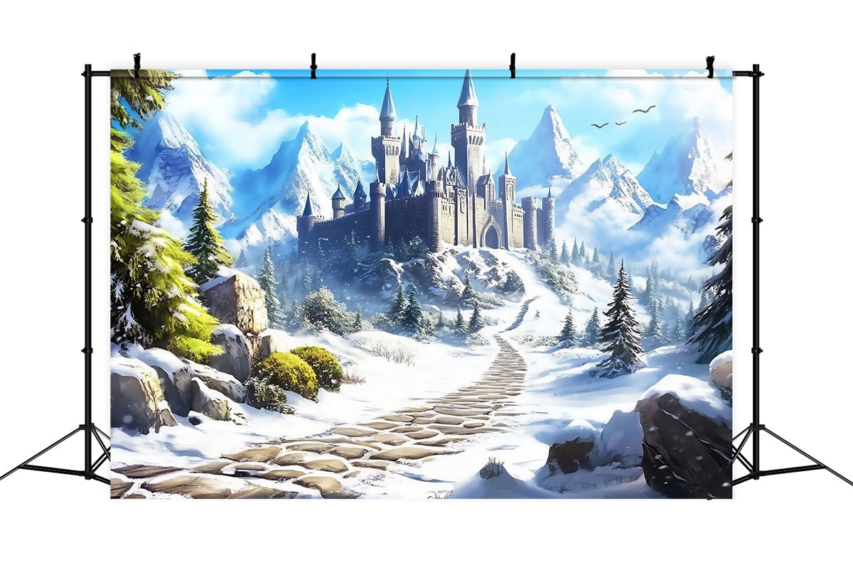 Castle Photo Backdrop Castle Path Winter Backdrops MRR7-157