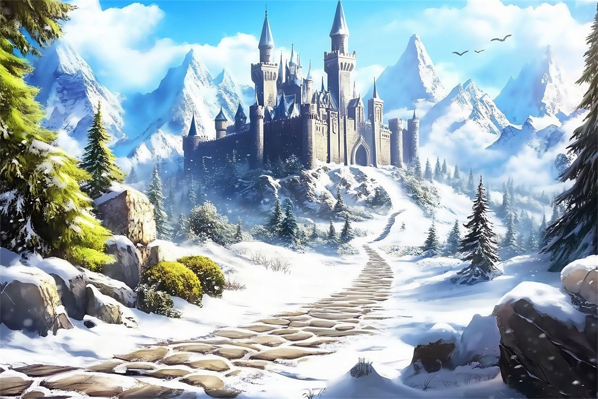 Castle Photo Backdrop Castle Path Winter Backdrops MRR7-157