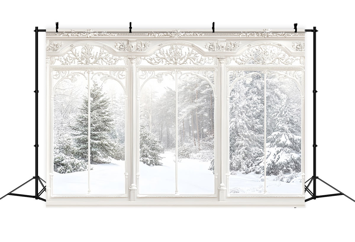 Winter Backdrop Ornate Winter Window View Backdrop MRR7-159