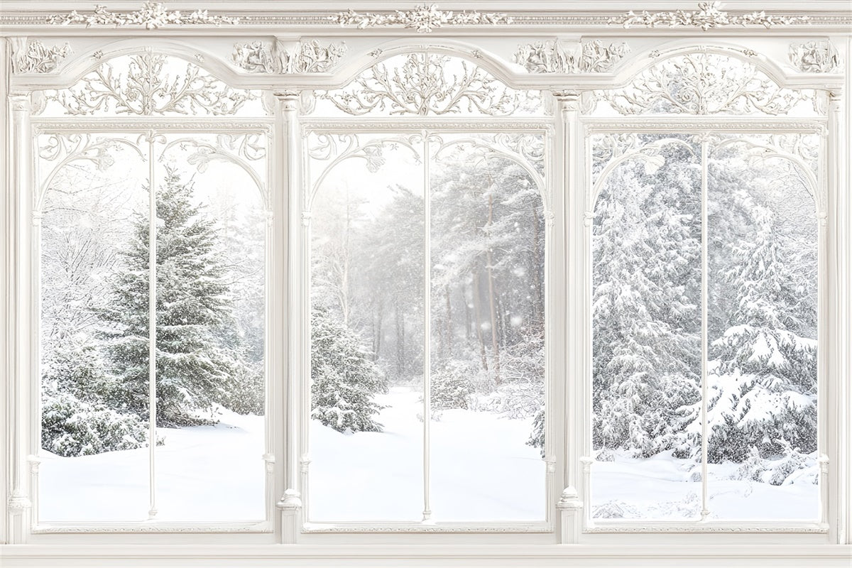 Winter Backdrop Ornate Winter Window View Backdrop MRR7-159