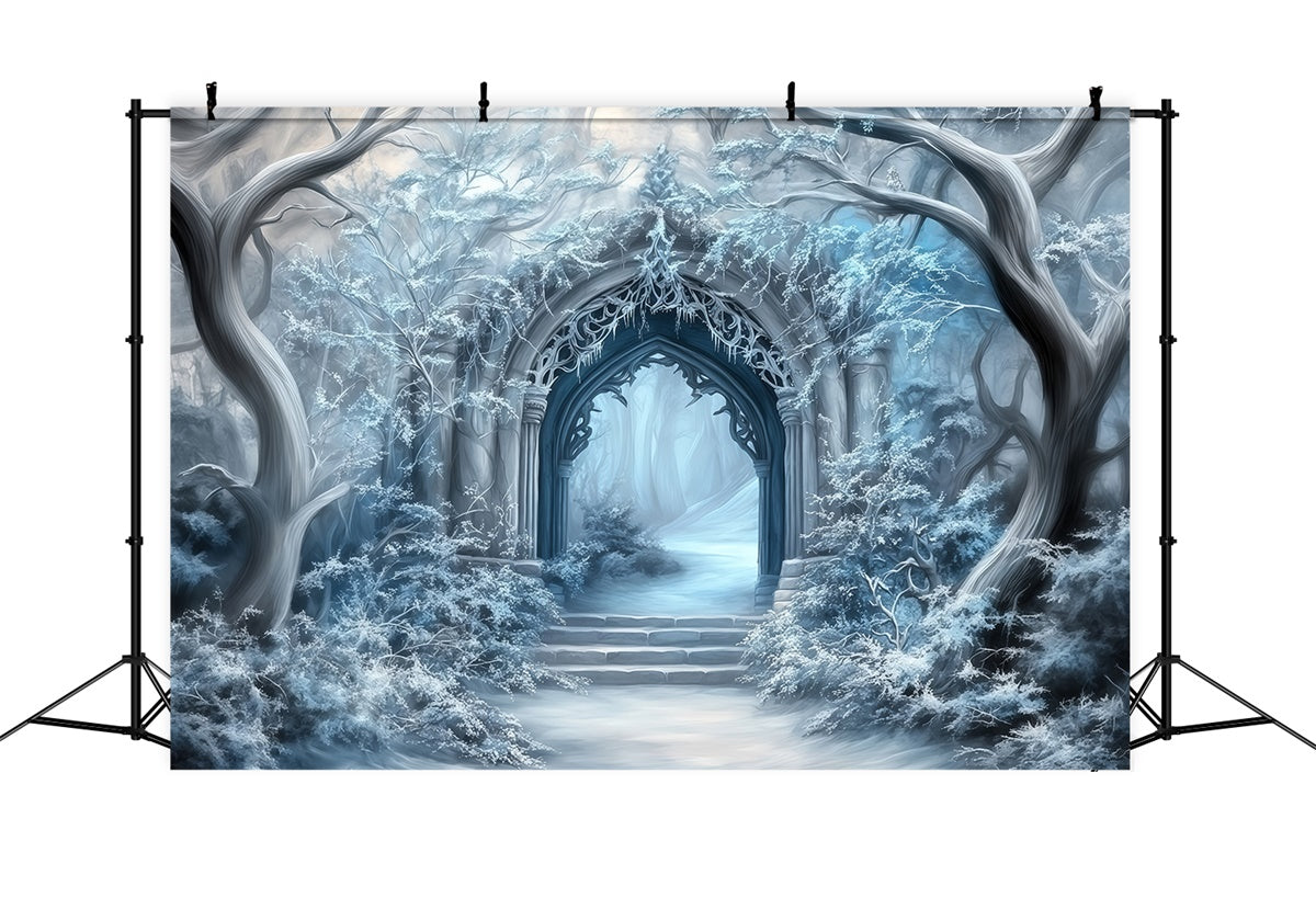 Winter Wonderland Backdrop Frosted Gothic Gateway Backdrop MRR7-160