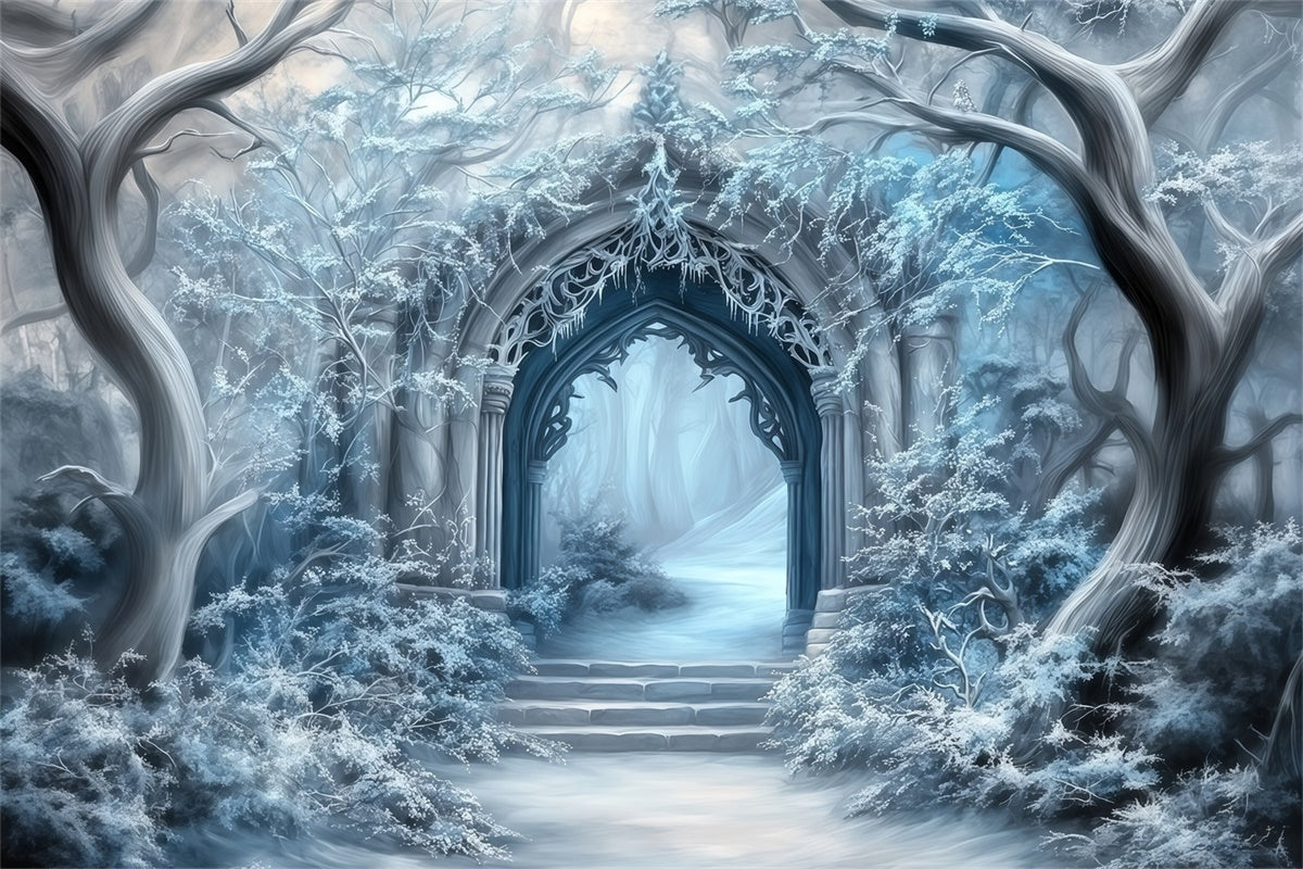 Winter Wonderland Backdrop Frosted Gothic Gateway Backdrop MRR7-160