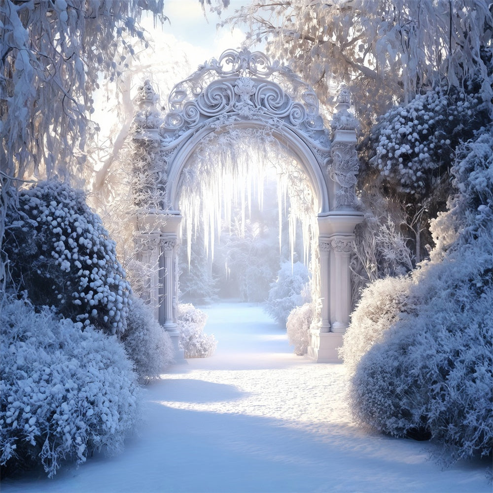 Winter Snow Backdrop Frozen Garden Arch Backdrop MRR7-175