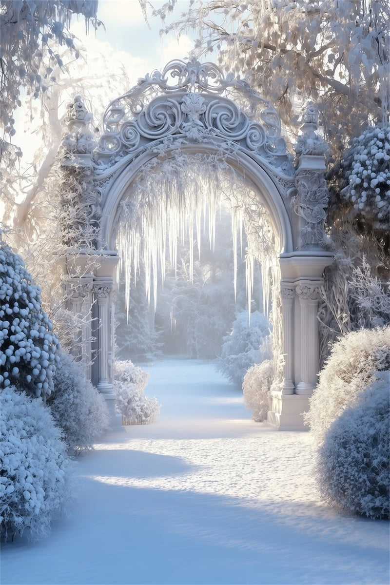 Winter Snow Backdrop Frozen Garden Arch Backdrop MRR7-175
