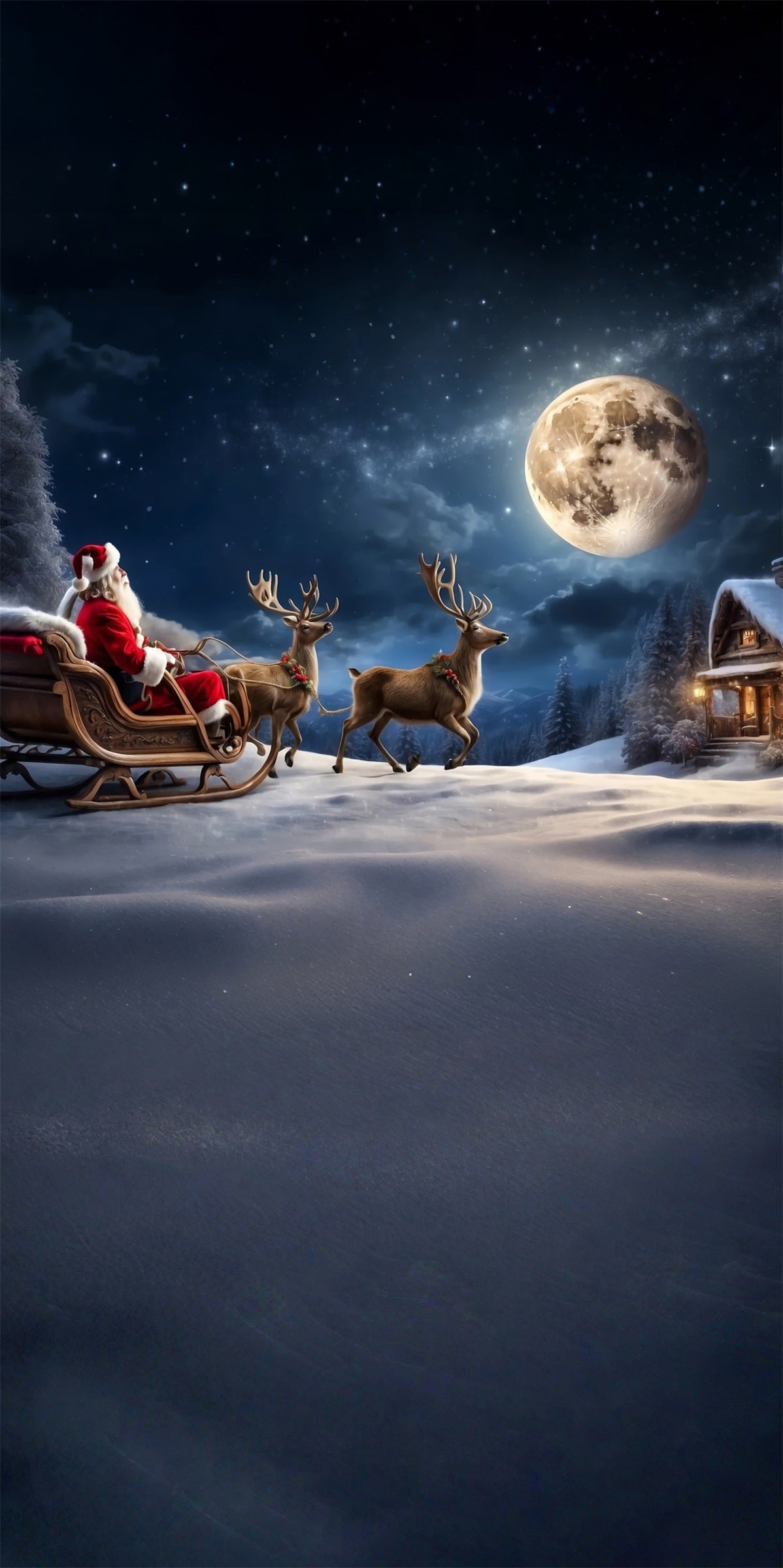 Christmas Village Backdrop Reindeer Sleigh Santa Claus Moonlit Night Christmas Photo Backdrops MRR8-106
