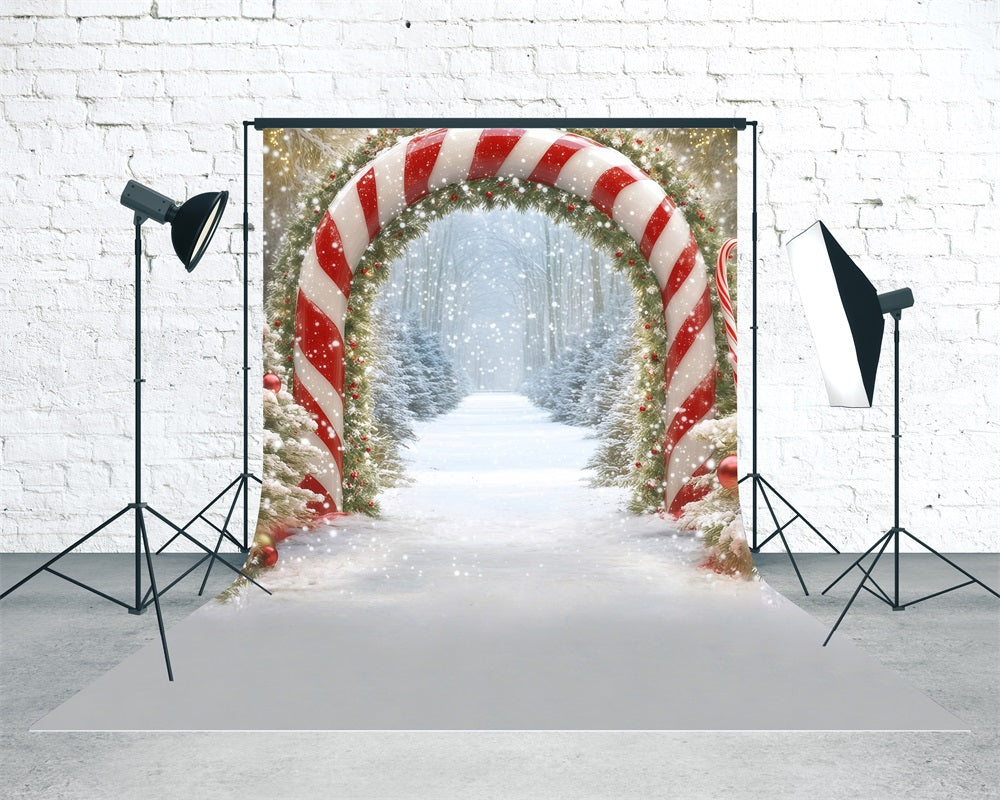 Holiday Backdrop Falling Snow Forest Candy Arch Professional Christmas Backdrops MRR8-108