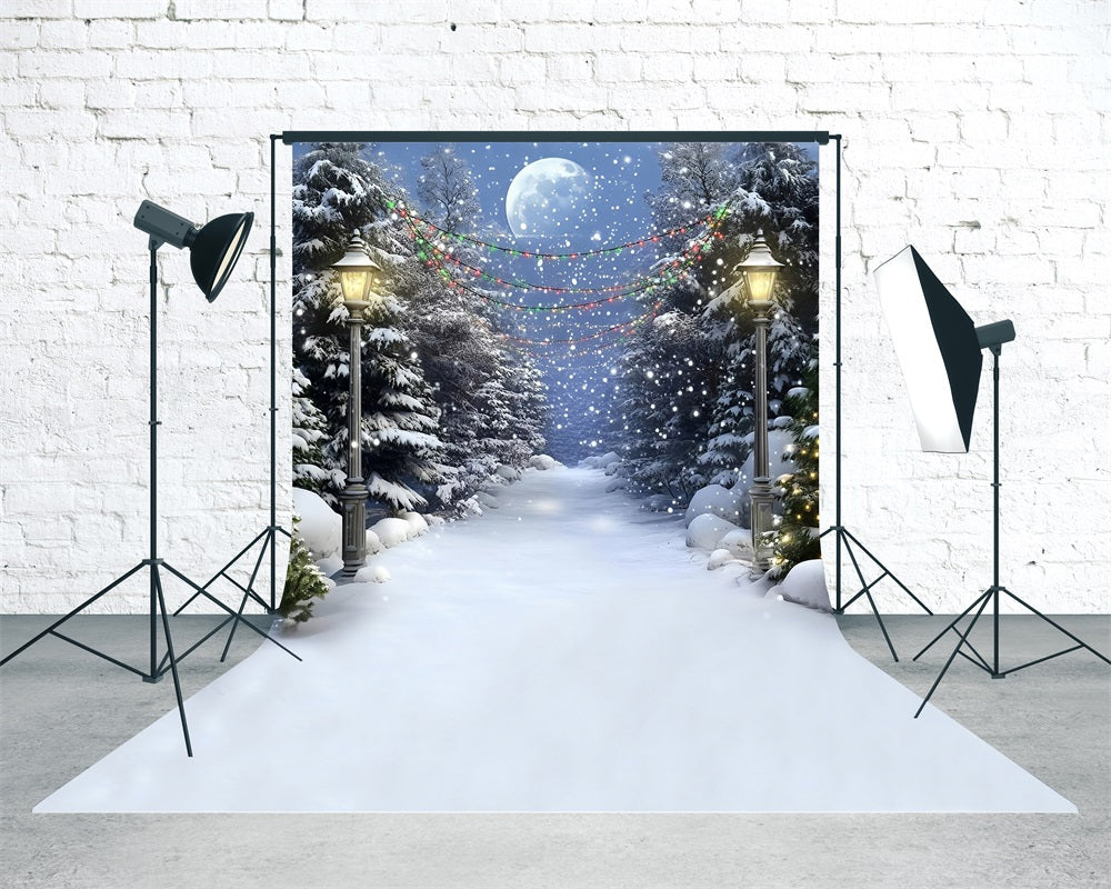 Christmas Tree Farm Backdrop Snowy Night Colored Lights Cedar Trail Christmas Backdrop MRR8-116