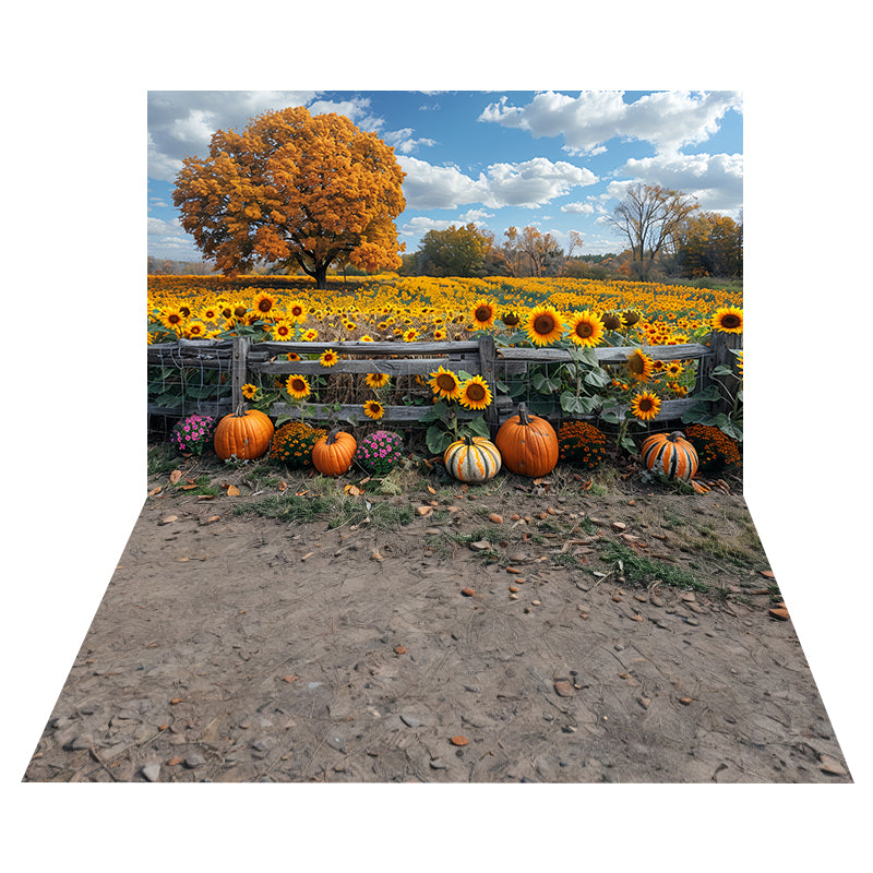Sunflower Pumpkin Field Backdrop+Rocky Earth Texture Floor Backdrop MRR8-161