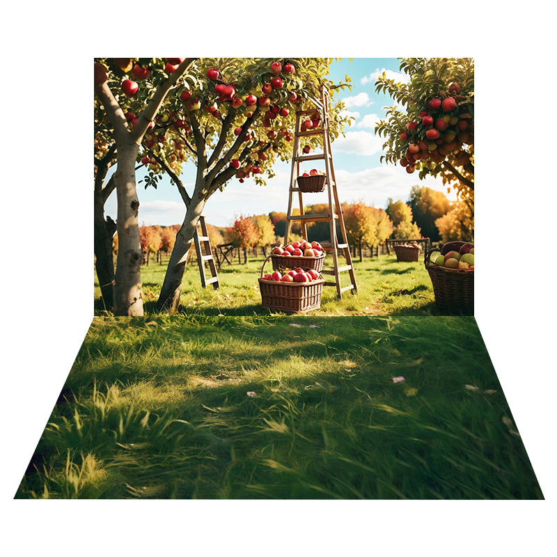 Apple Orchard Harvest Backdrop+Sunny Meadow Grass Floor Backdrop MRR8-169