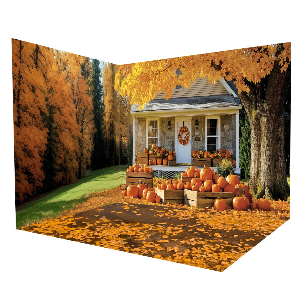 Fall Photo Backdrop Rustic Porch Pumpkin Harvest Backdrop Room Set MRR8-222