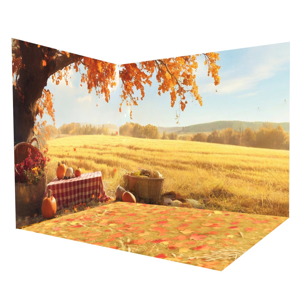 Fall Photo Backdrop Autumn Field Picnic Pumpkin Backdrop Room Set MRR8-223