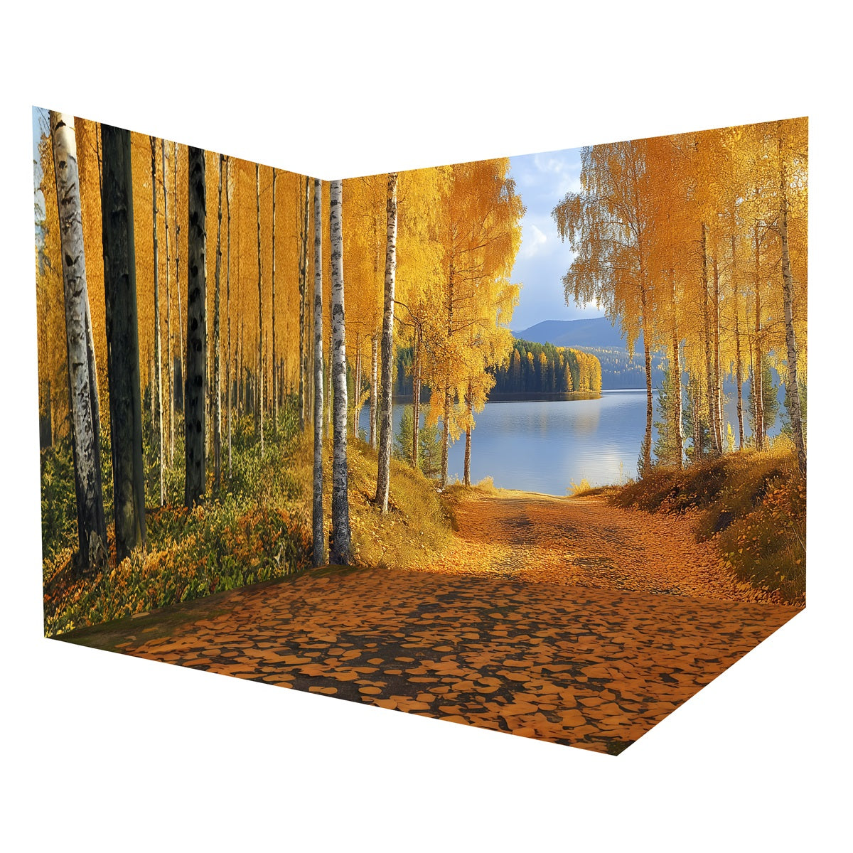 Fall Forest Backdrop Golden Birch Lake Path Backdrop Room Set MRR8-228