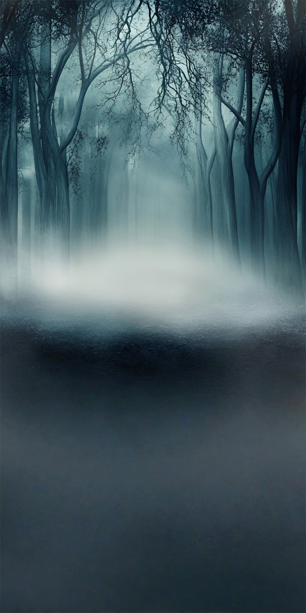 Scary Halloween Backdrops Misty Deadwood Forest Sweep Backdrop MRR8-60
