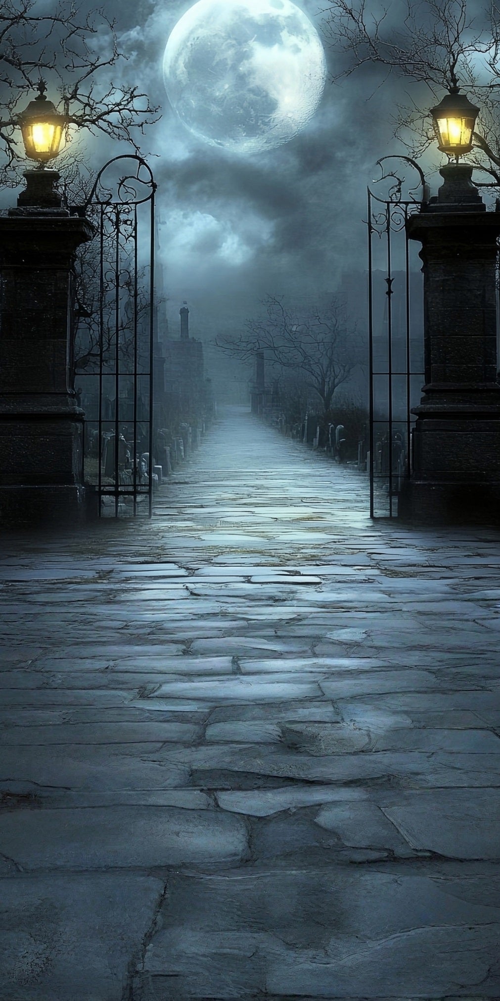 Halloween Backdrop Moonlit Night Misty Vintage Streetlight Cemetery Gates Sweep Backdrop MRR8-67