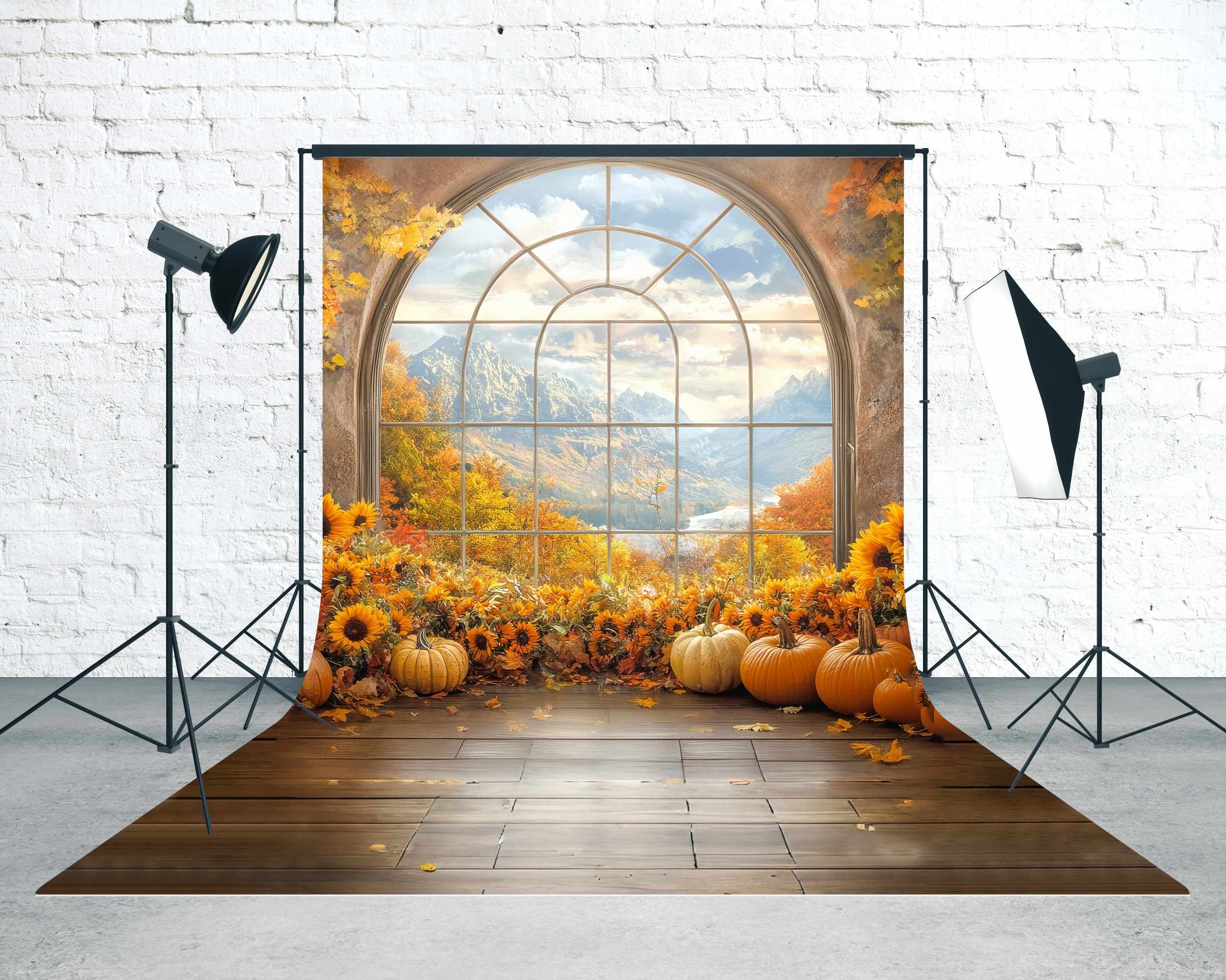 Fall Photo Backdrop Sunflower Window Mountain View Sweep Backdrop MRR8-72