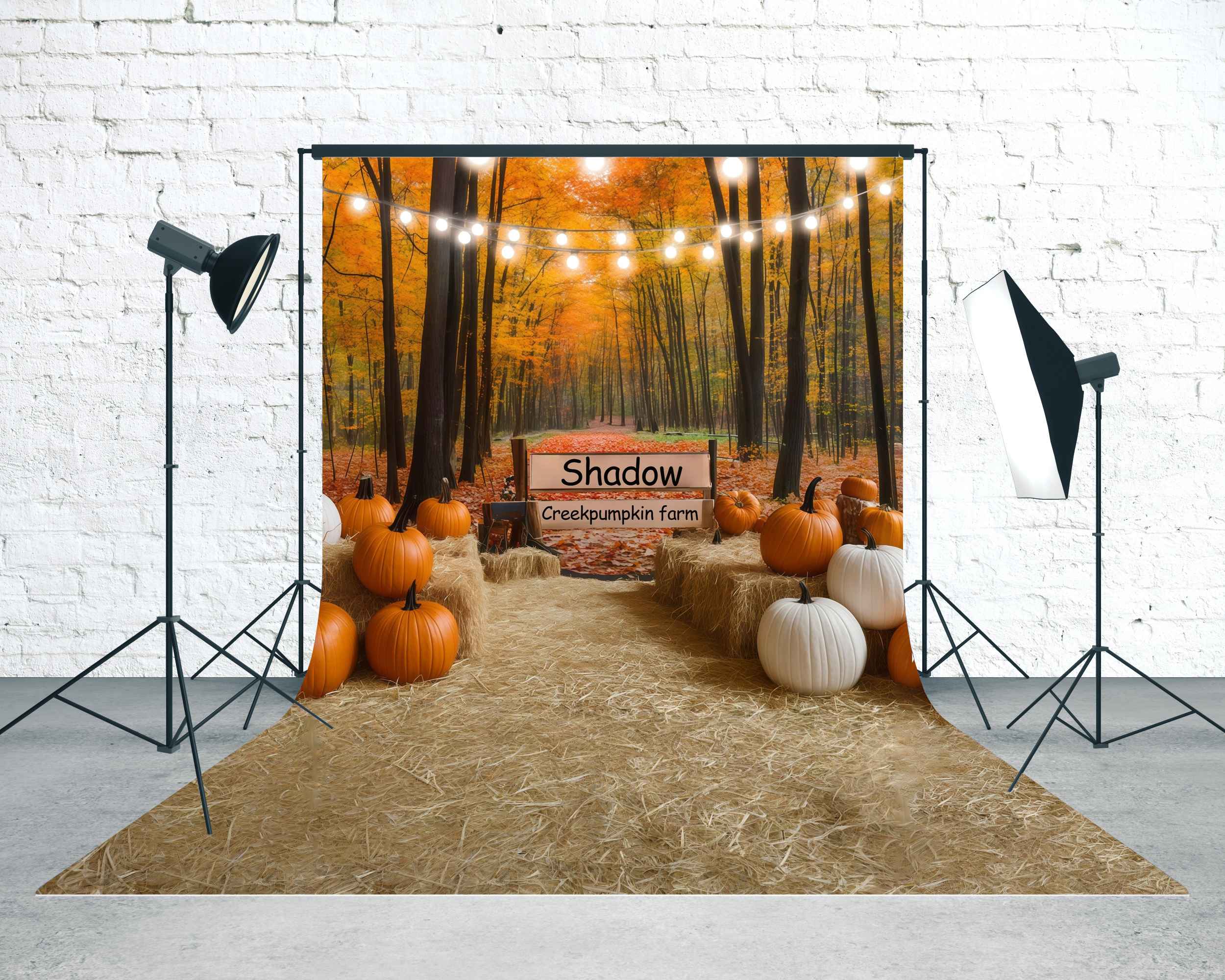 Autumn Backdrop Shadow Creek Pumpkin Farm Sweep Backdrop MRR8-74