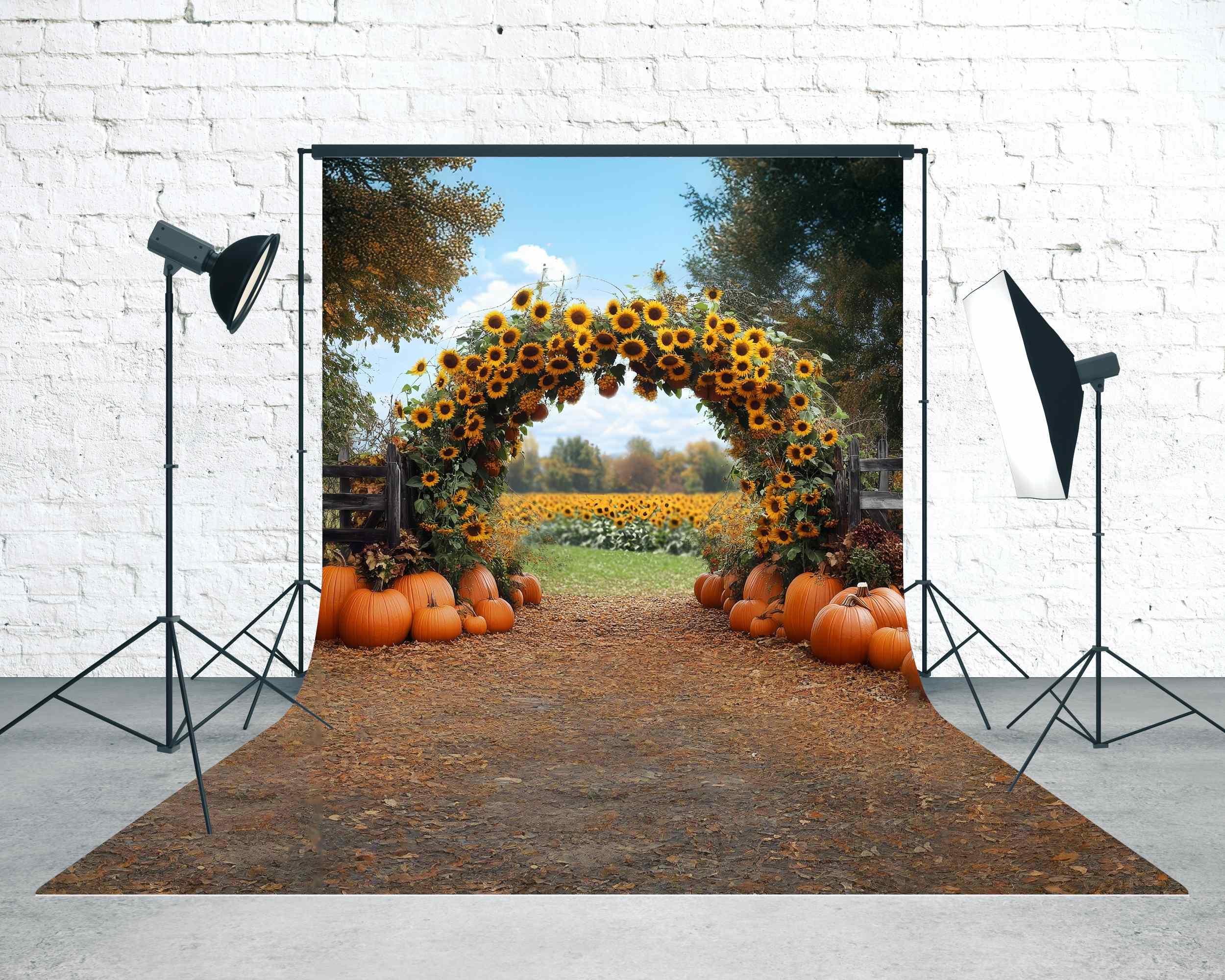 Autumn Backdrop Sunflower Pumpkin Archway Sweep Backdrop MRR8-86