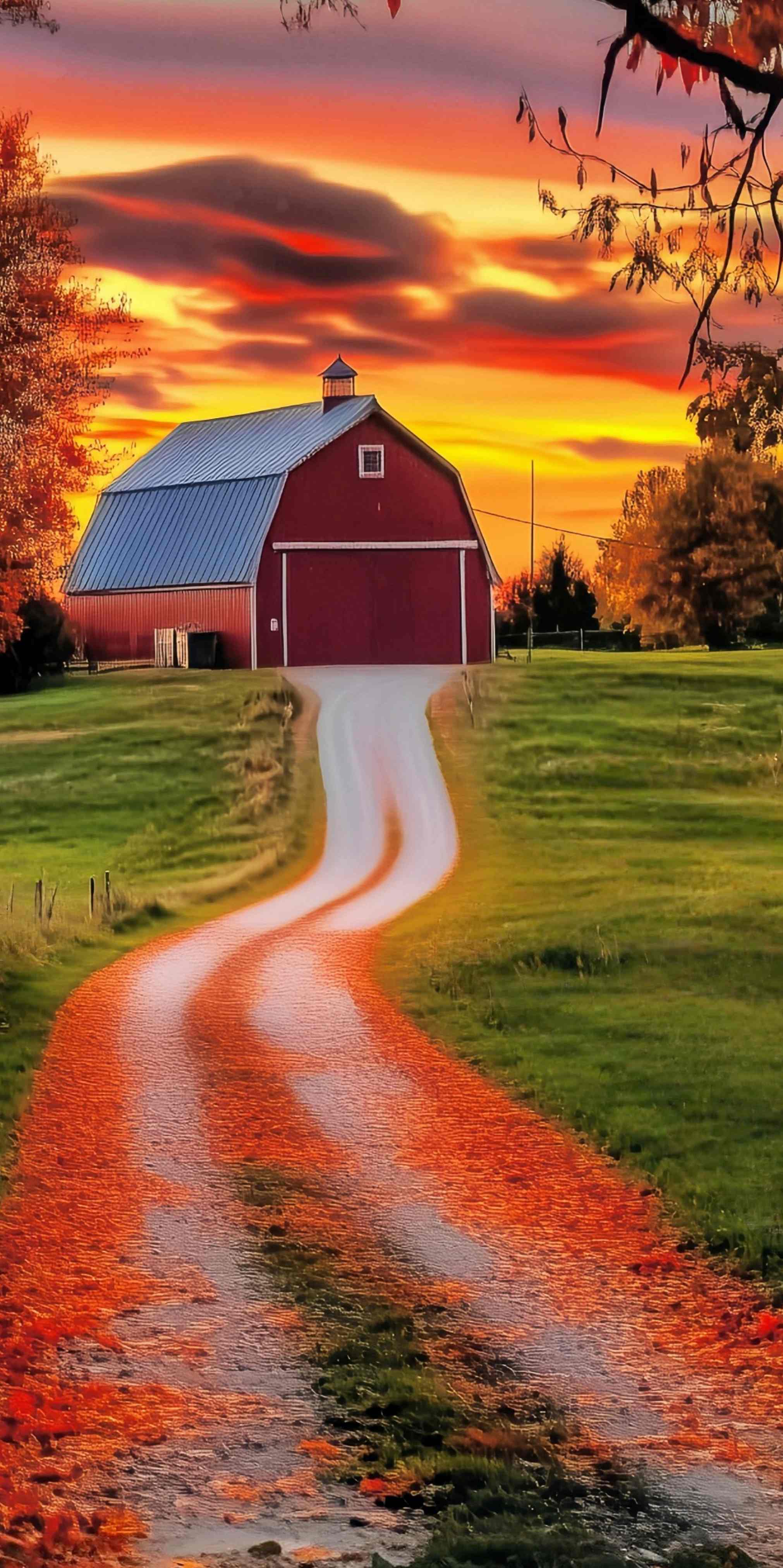 Fall Backdrops Golden Sunset Farm Road Sweep Backdrop MRR8-94