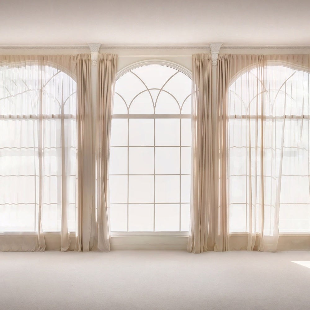 Vintage Photo Backdrop Elegant Sheer Window Drapes Vintage Backdrops MRR9-120