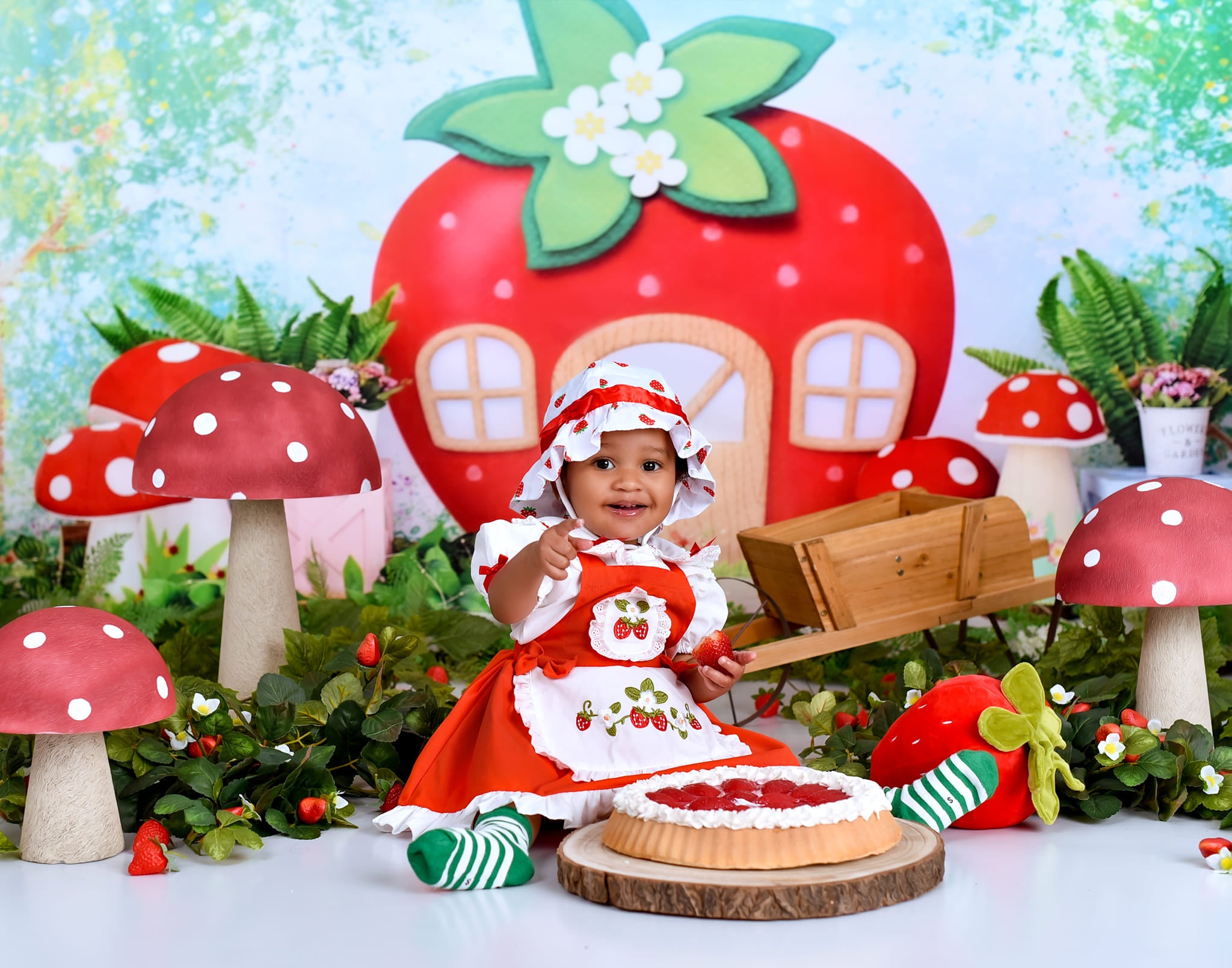Children Backdrops Strawberry House Fairy Garden newborn Photography Backdrop MRR9-12
