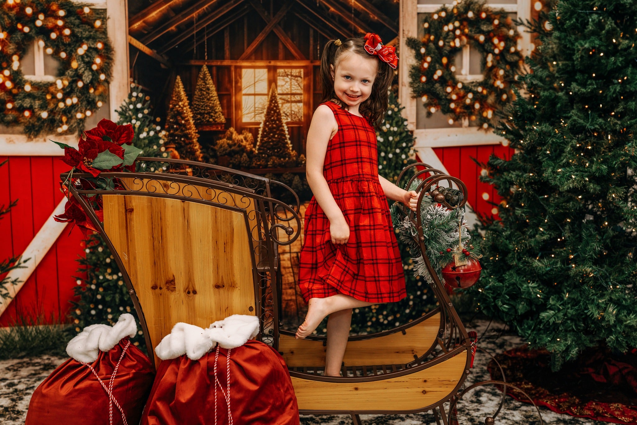 Tree Farm Backdrop Christmas Tree Barn Lights Christmas Backdrop MRR9-13