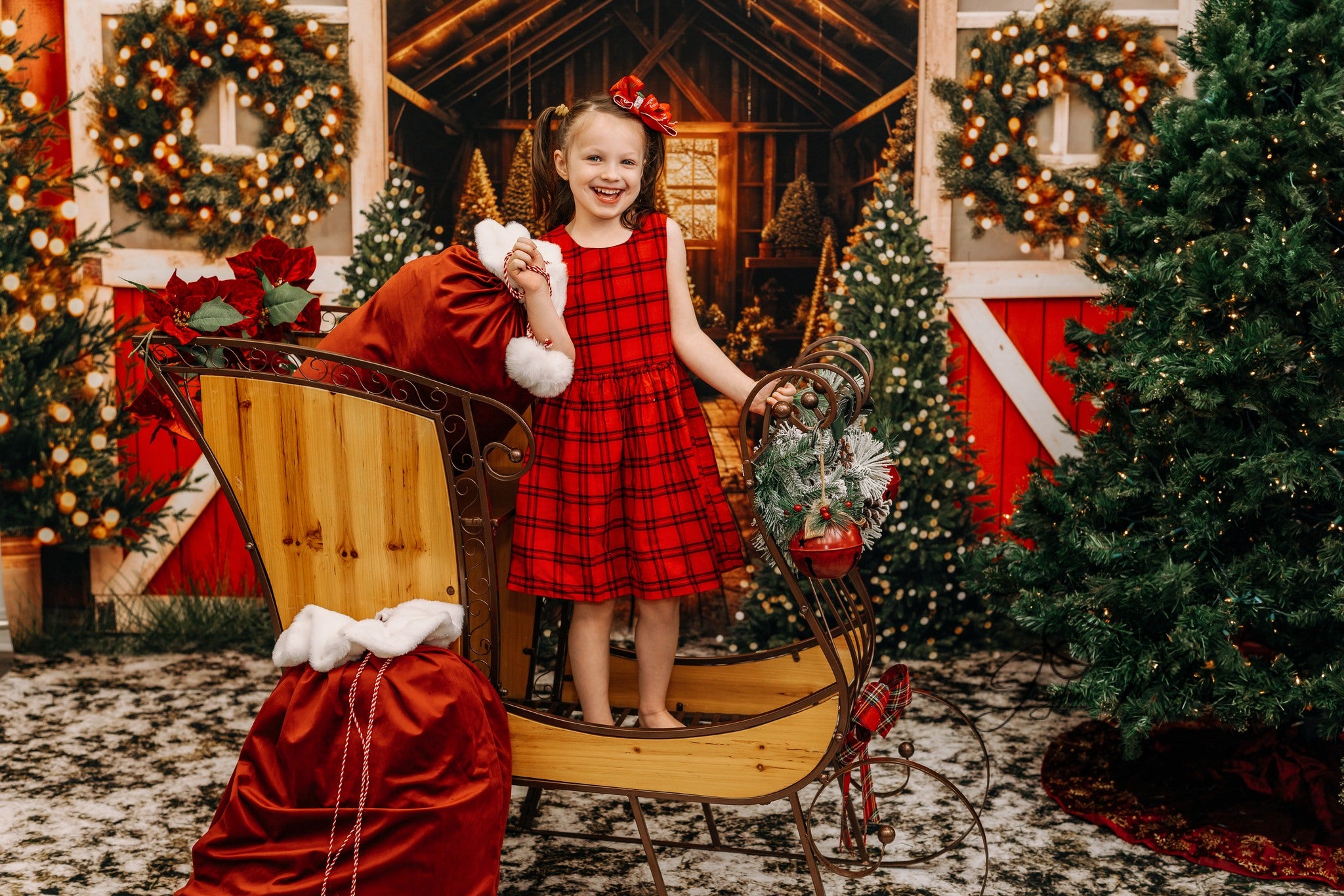 Tree Farm Backdrop Christmas Tree Barn Lights Christmas Backdrop MRR9-13