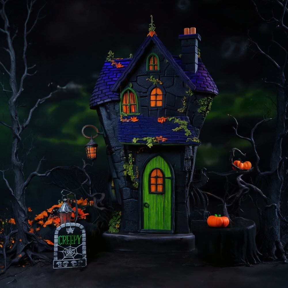 Spooky Halloween Backdrop Haunted House Green Door Lights Halloween Backdrop MRR9-131