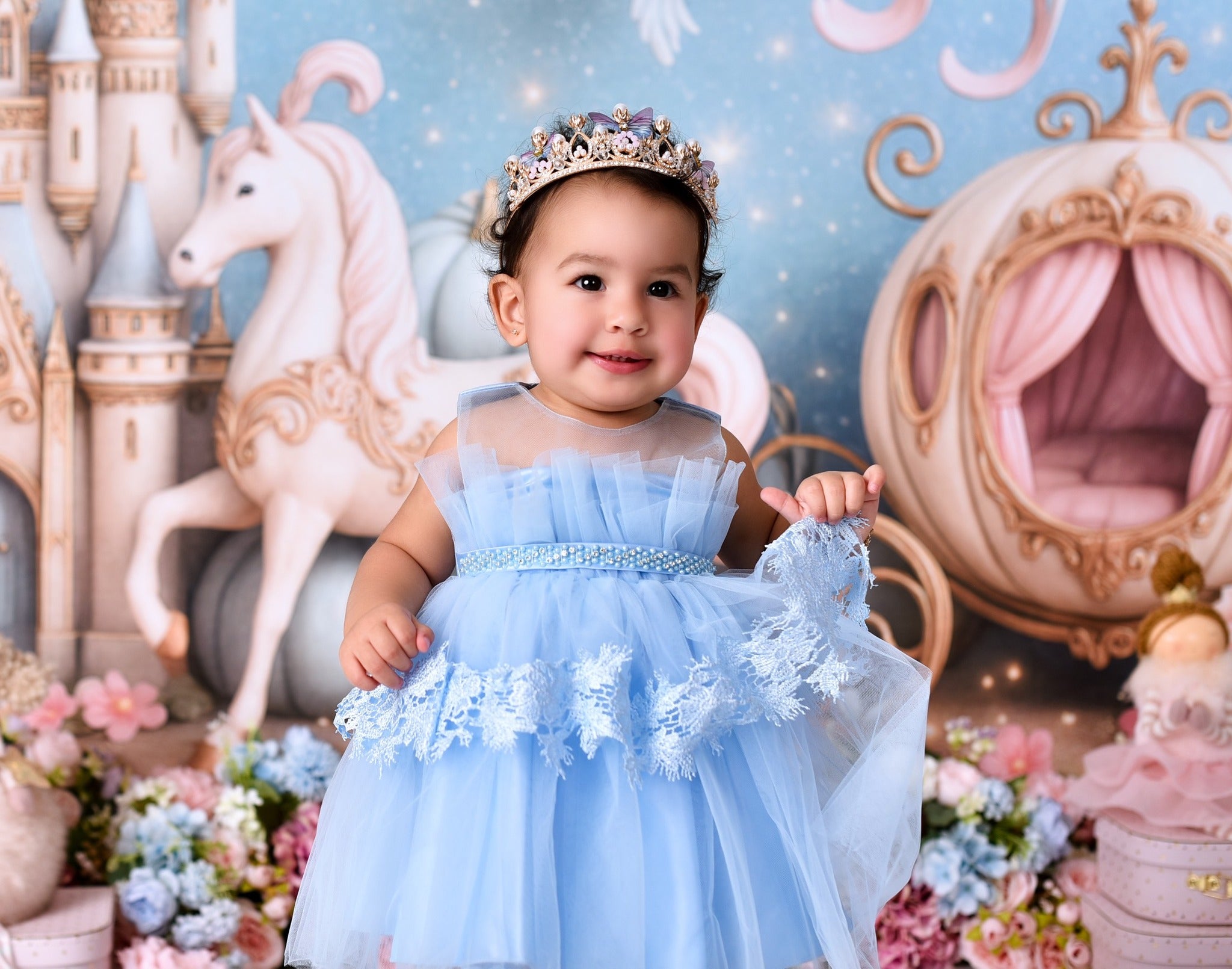 Castle Backdrop Fairy Tale Castle Carriage Newborn Photo Backdrop MRR9-16