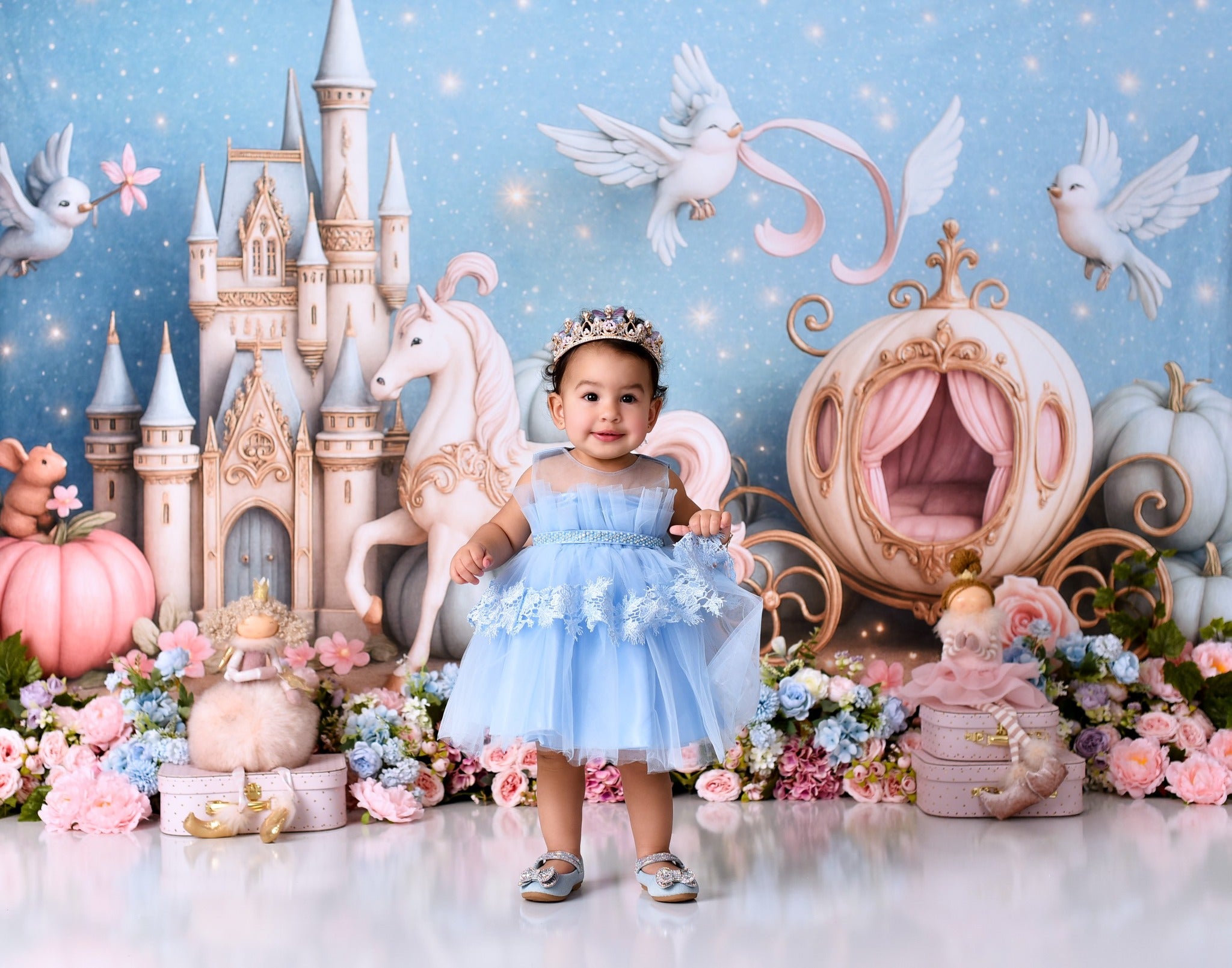 Castle Backdrop Fairy Tale Castle Carriage Newborn Photo Backdrop MRR9-16