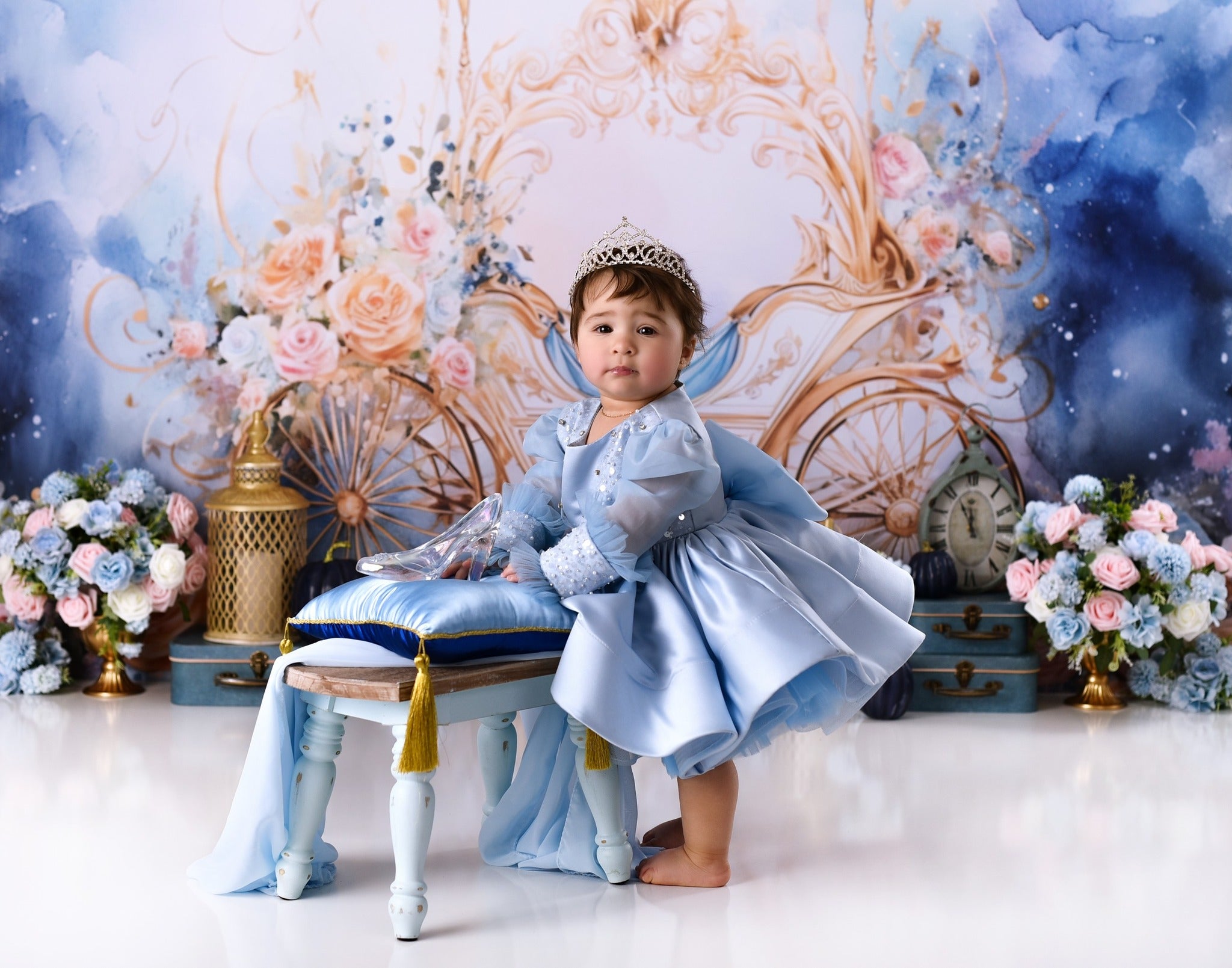 Newborn Photo Backdrop Golden Carriage Floral Fantasy Kids Backdrop MRR9-18