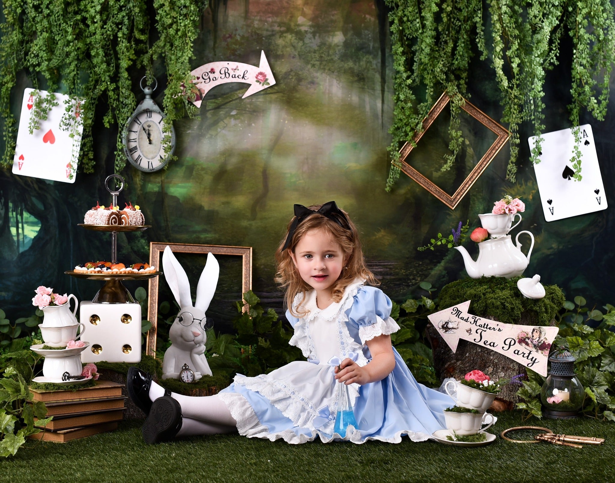 Forest Backdrop Misty Enchanted Forest Pathway Forest Photo Backdrop MRR9-22