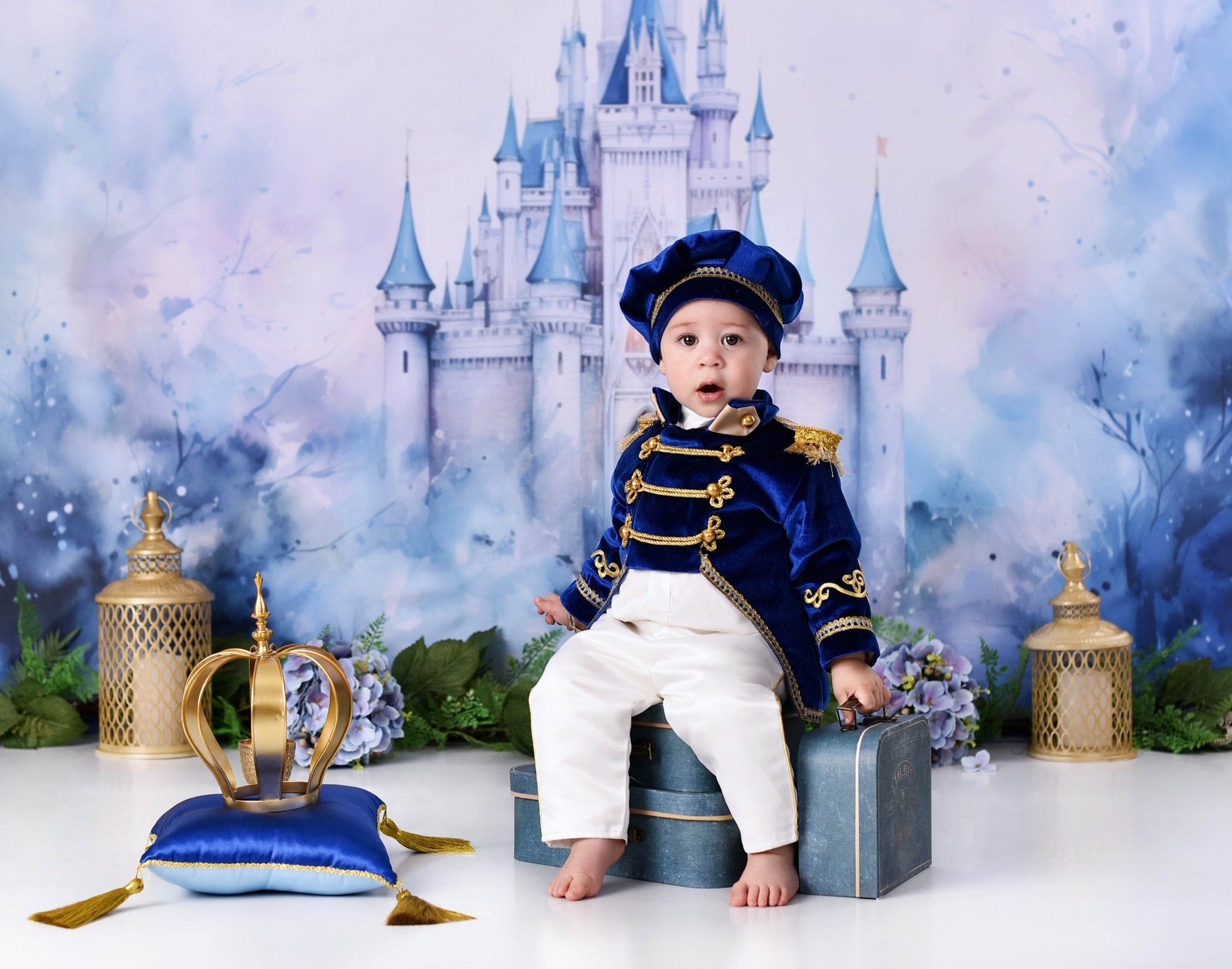 Castle Photo Backdrop Blue Towers Fairytale Castle Newborn Backdrop MRR9-23