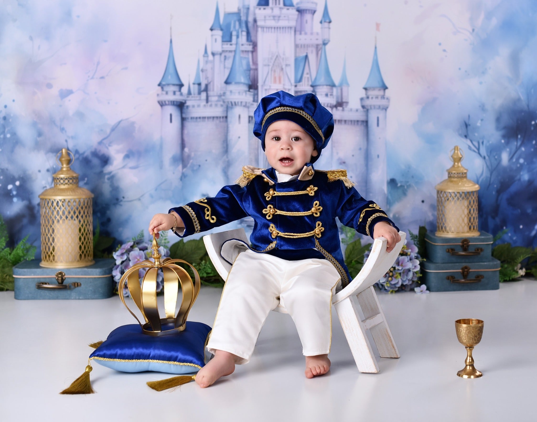 Castle Photo Backdrop Blue Towers Fairytale Castle Newborn Backdrop MRR9-23