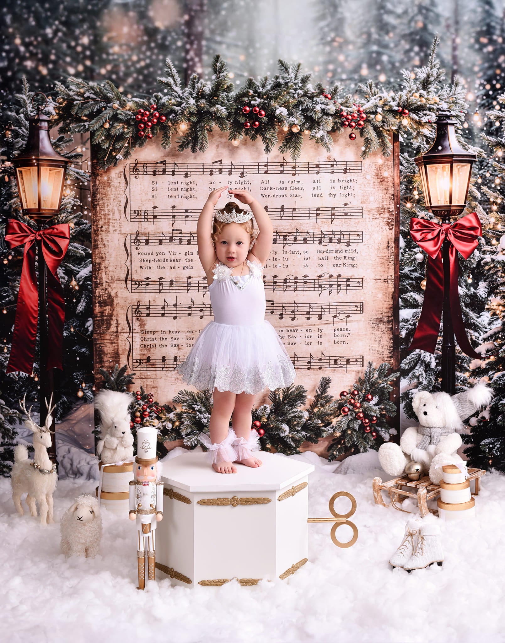 Joy To The World Backdrop Snowy Christmas Carol Music Christmas Backdrop MRR9-24
