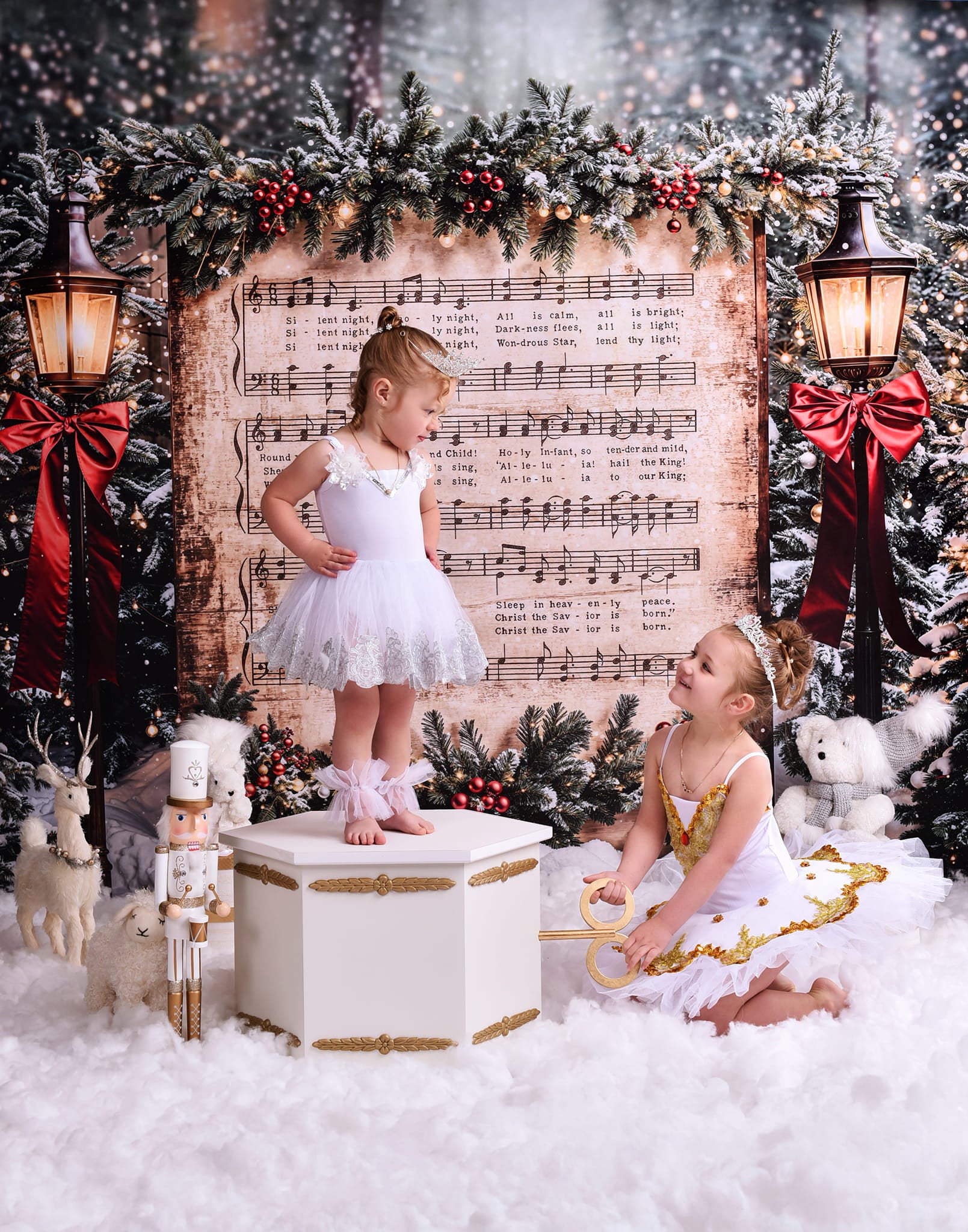 Joy To The World Backdrop Snowy Christmas Carol Music Christmas Backdrop MRR9-24