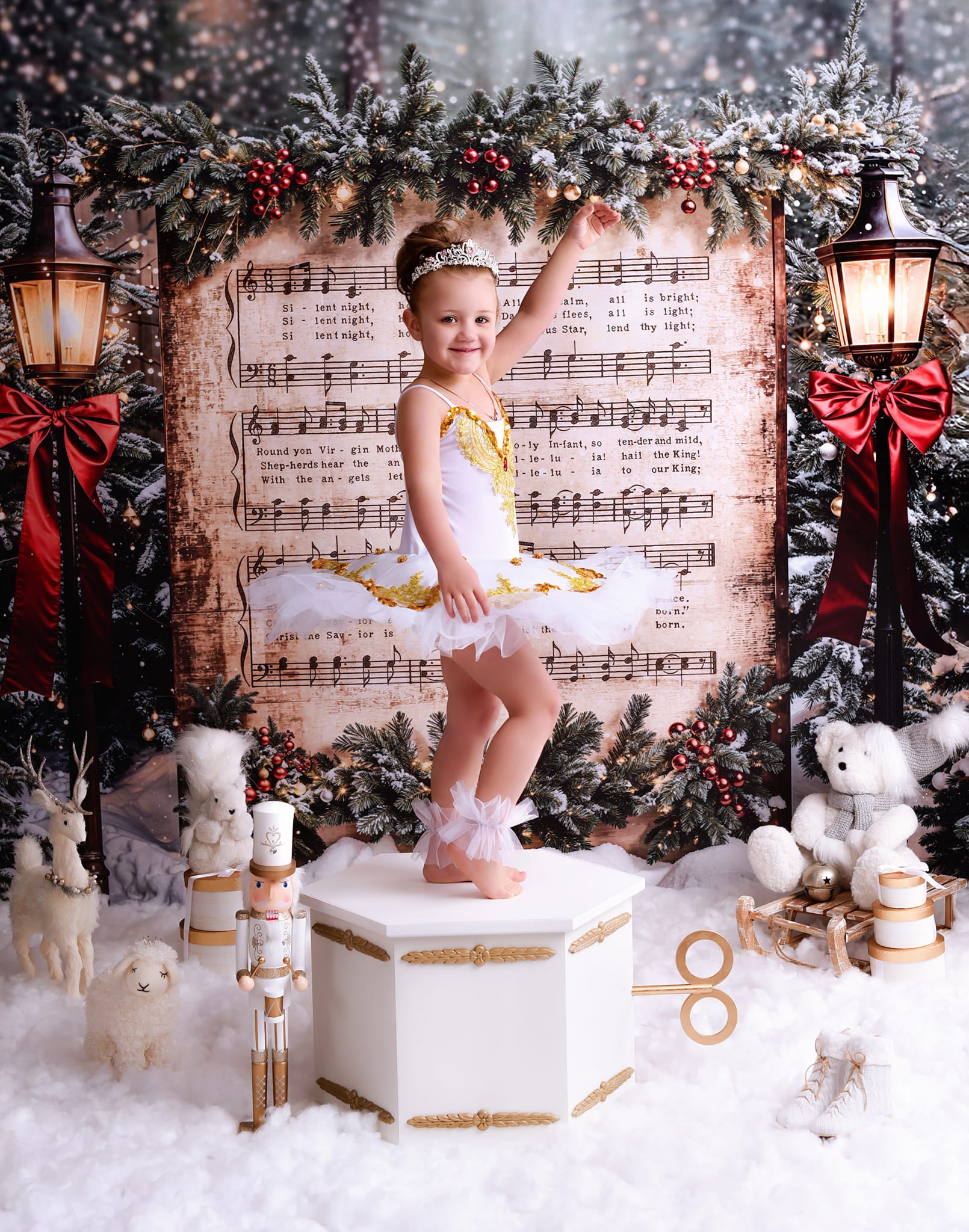 Joy To The World Backdrop Snowy Christmas Carol Music Christmas Backdrop MRR9-24