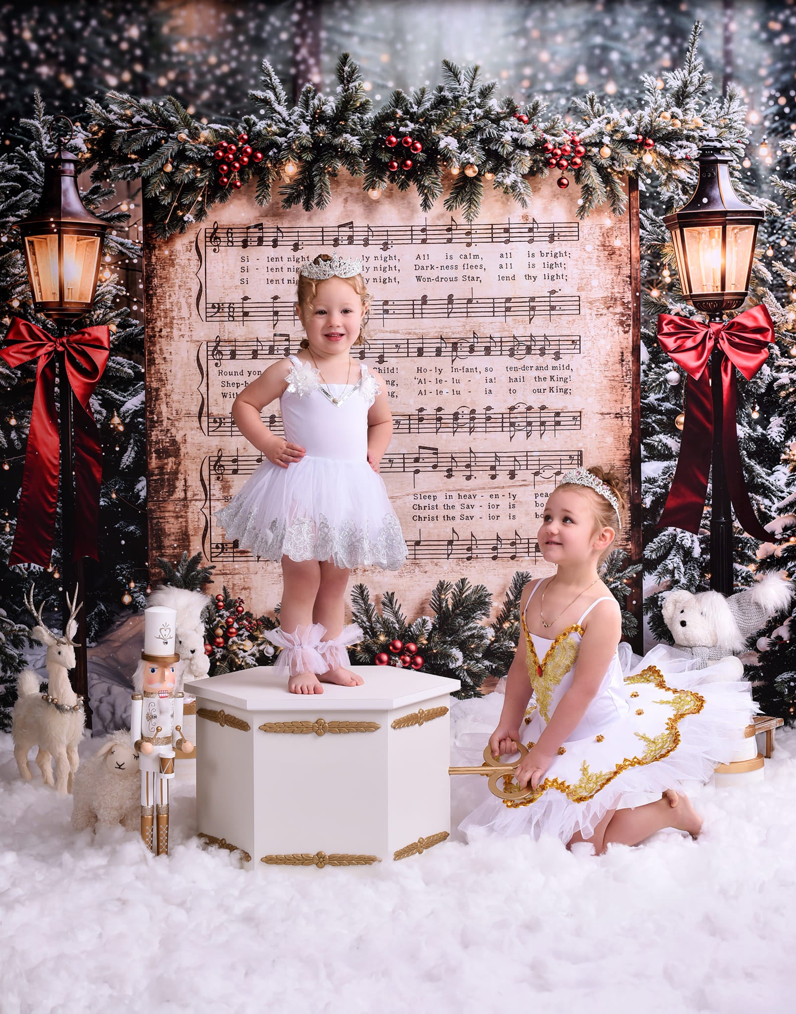 Joy To The World Backdrop Snowy Christmas Carol Music Christmas Backdrop MRR9-24