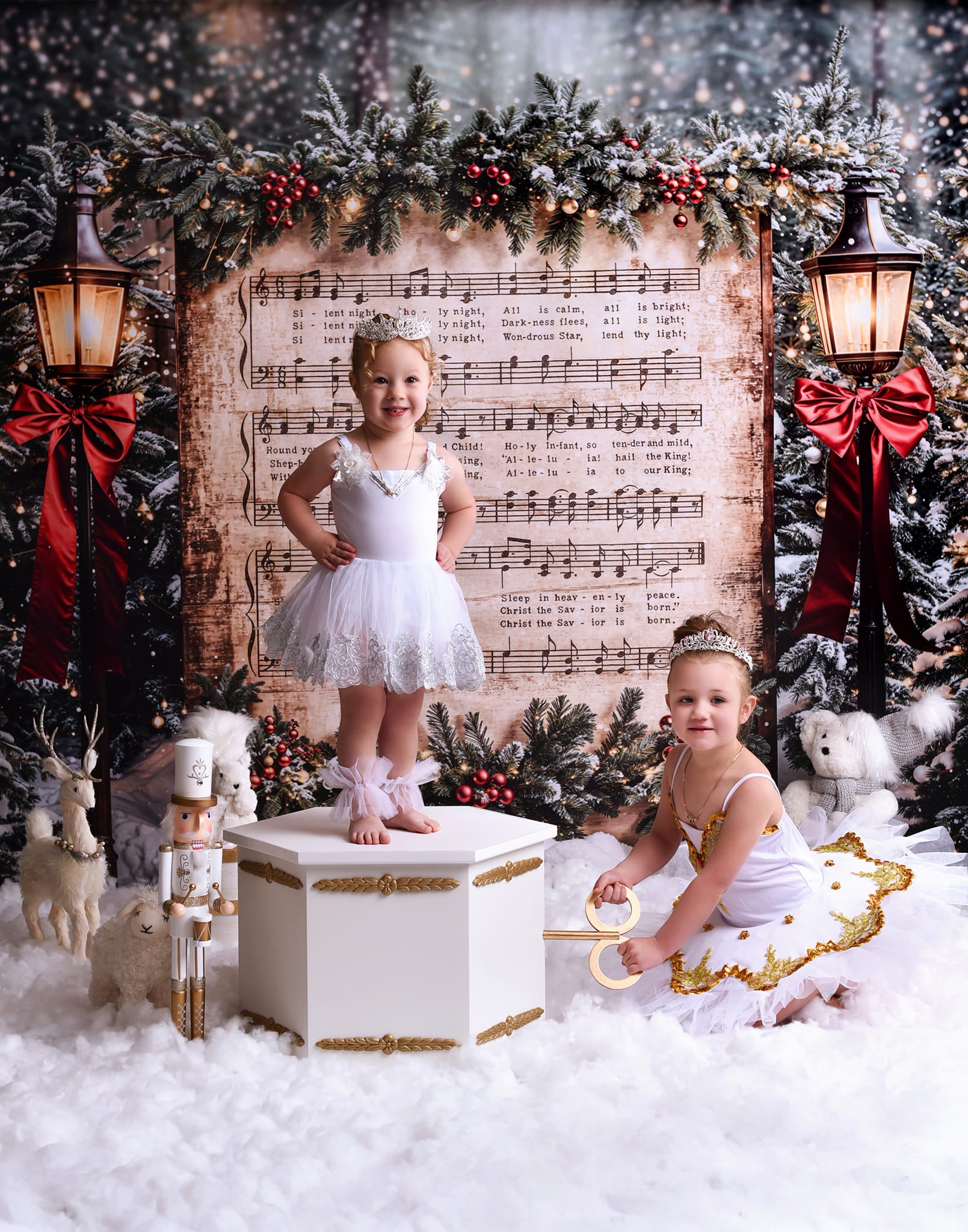Joy To The World Backdrop Snowy Christmas Carol Music Christmas Backdrop MRR9-24