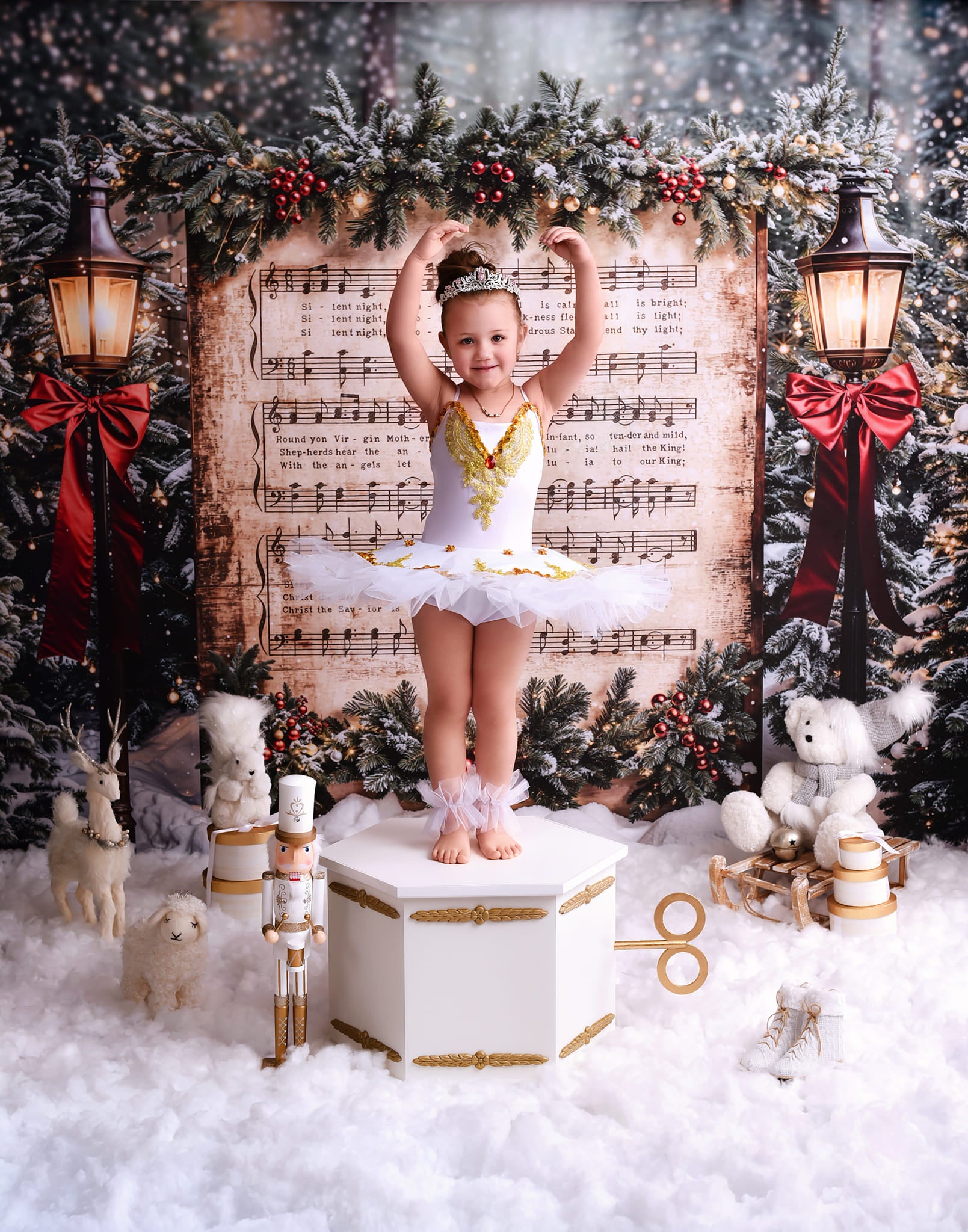 Joy To The World Backdrop Snowy Christmas Carol Music Christmas Backdrop MRR9-24