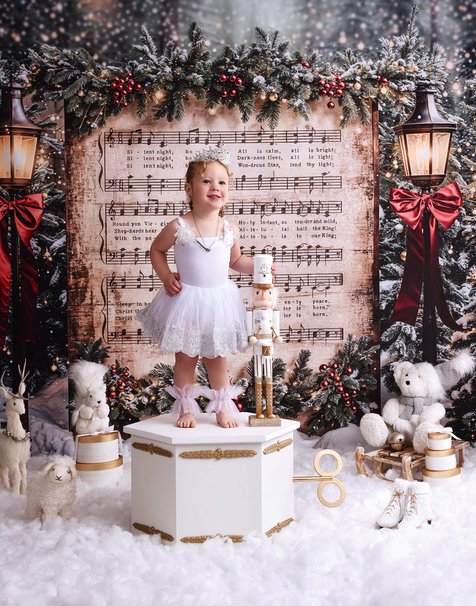 Joy To The World Backdrop Snowy Christmas Carol Music Christmas Backdrop MRR9-24