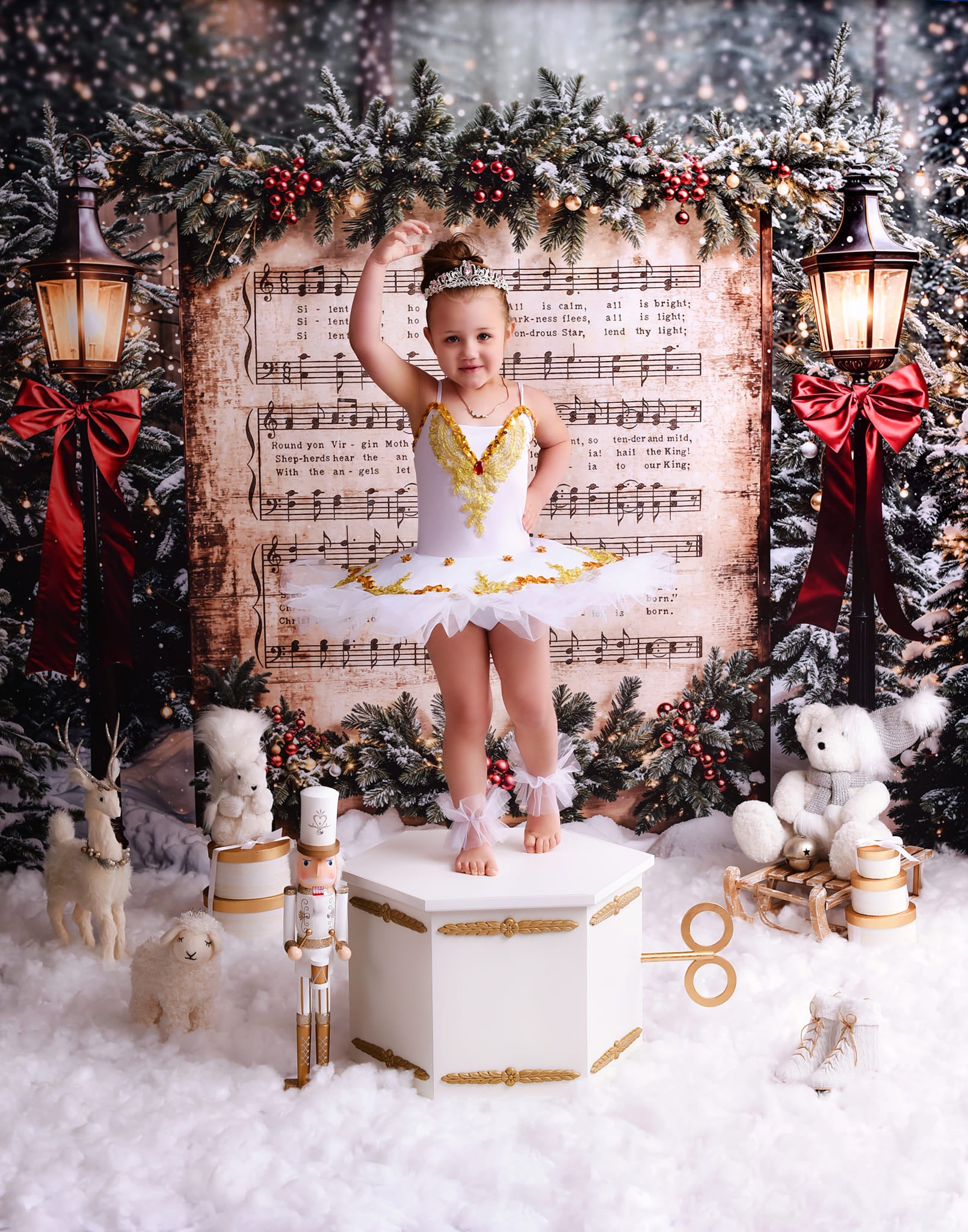 Joy To The World Backdrop Snowy Christmas Carol Music Christmas Backdrop MRR9-24