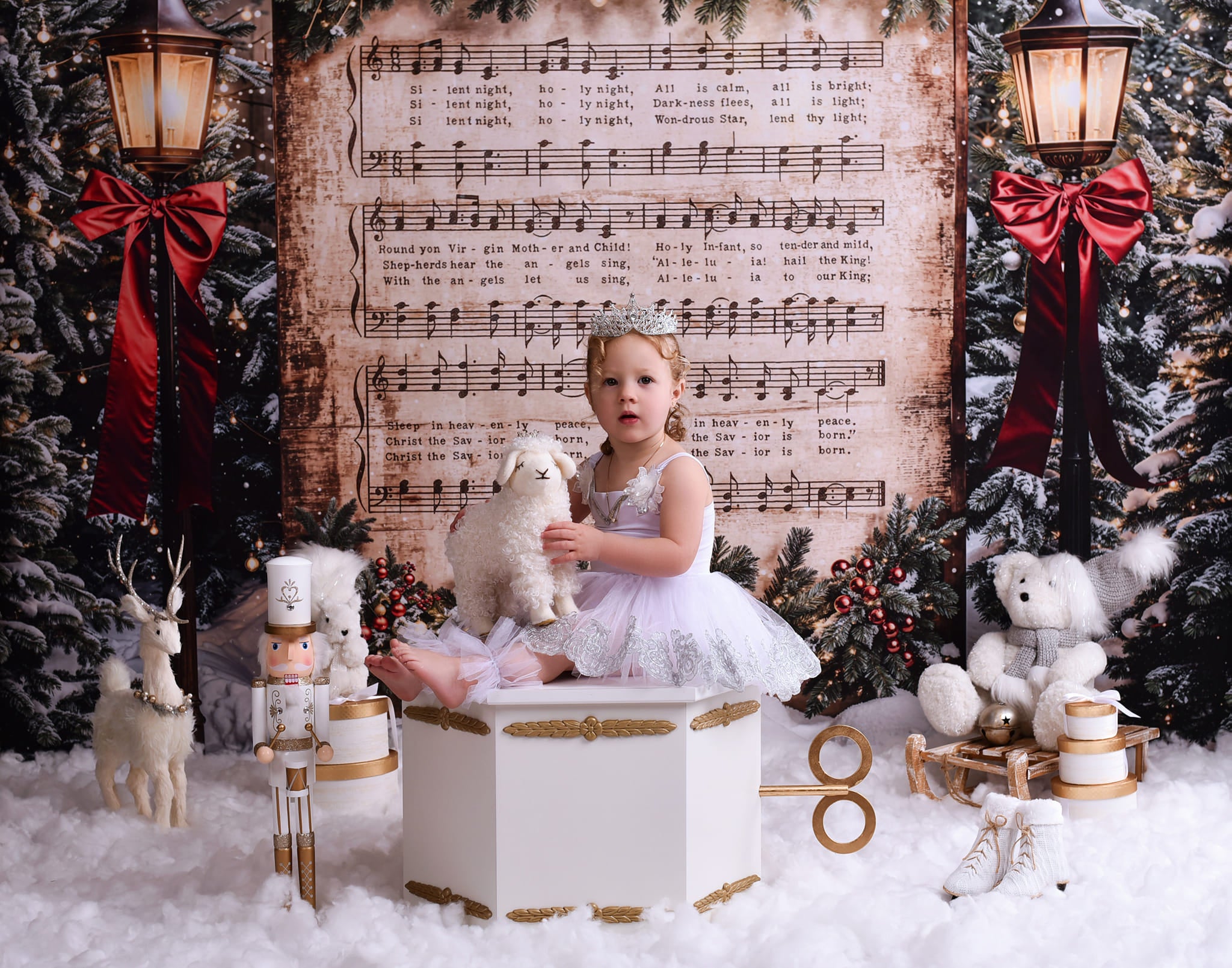Joy To The World Backdrop Snowy Christmas Carol Music Christmas Backdrop MRR9-24