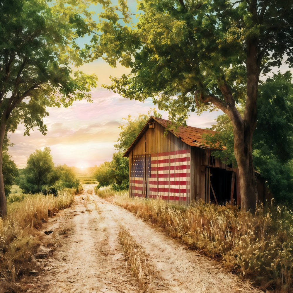 4th of July Backdrop Rustic Barn American Flag Independence Day Backdrop MRR9-29