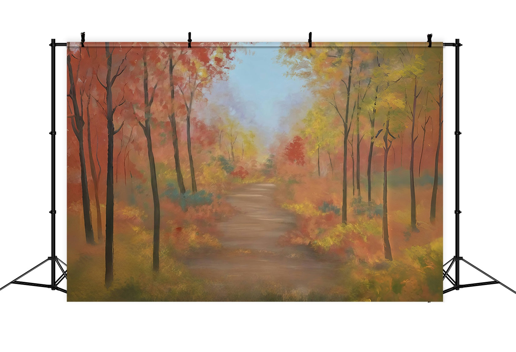 Fall Forest Backdrop Colorful Autumn Forest Path Autumn Backdrop MRR9-30
